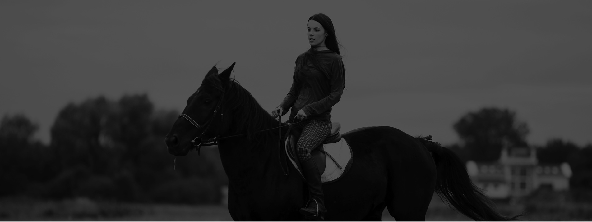 Jinete a caballo al atardecer