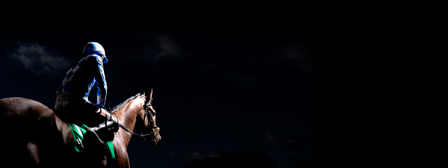 Jockey de carreras sobre su caballo
